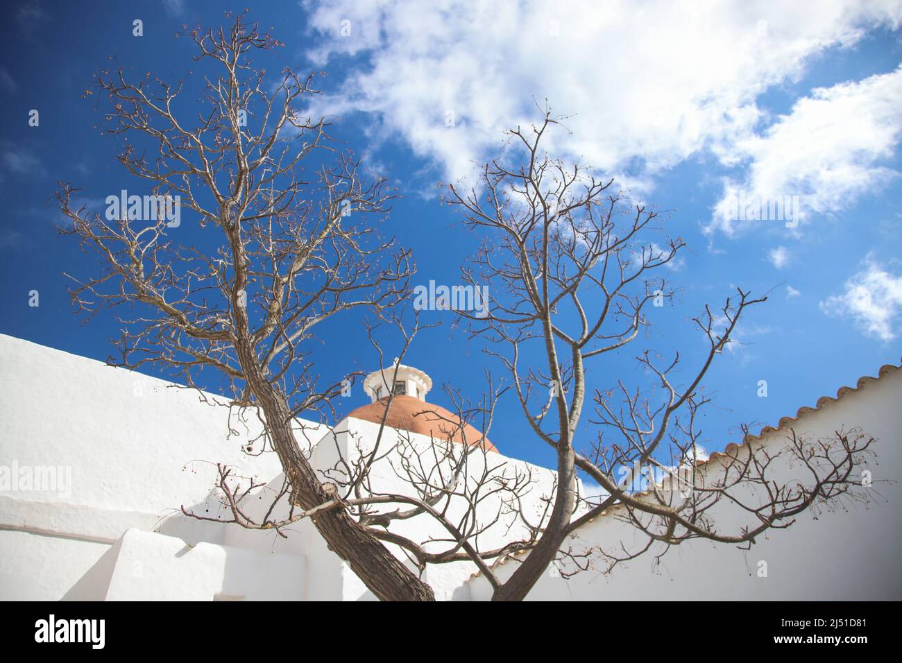 Albero di fronte ad una chiesa bianca sull'isola di Ibiza Foto Stock