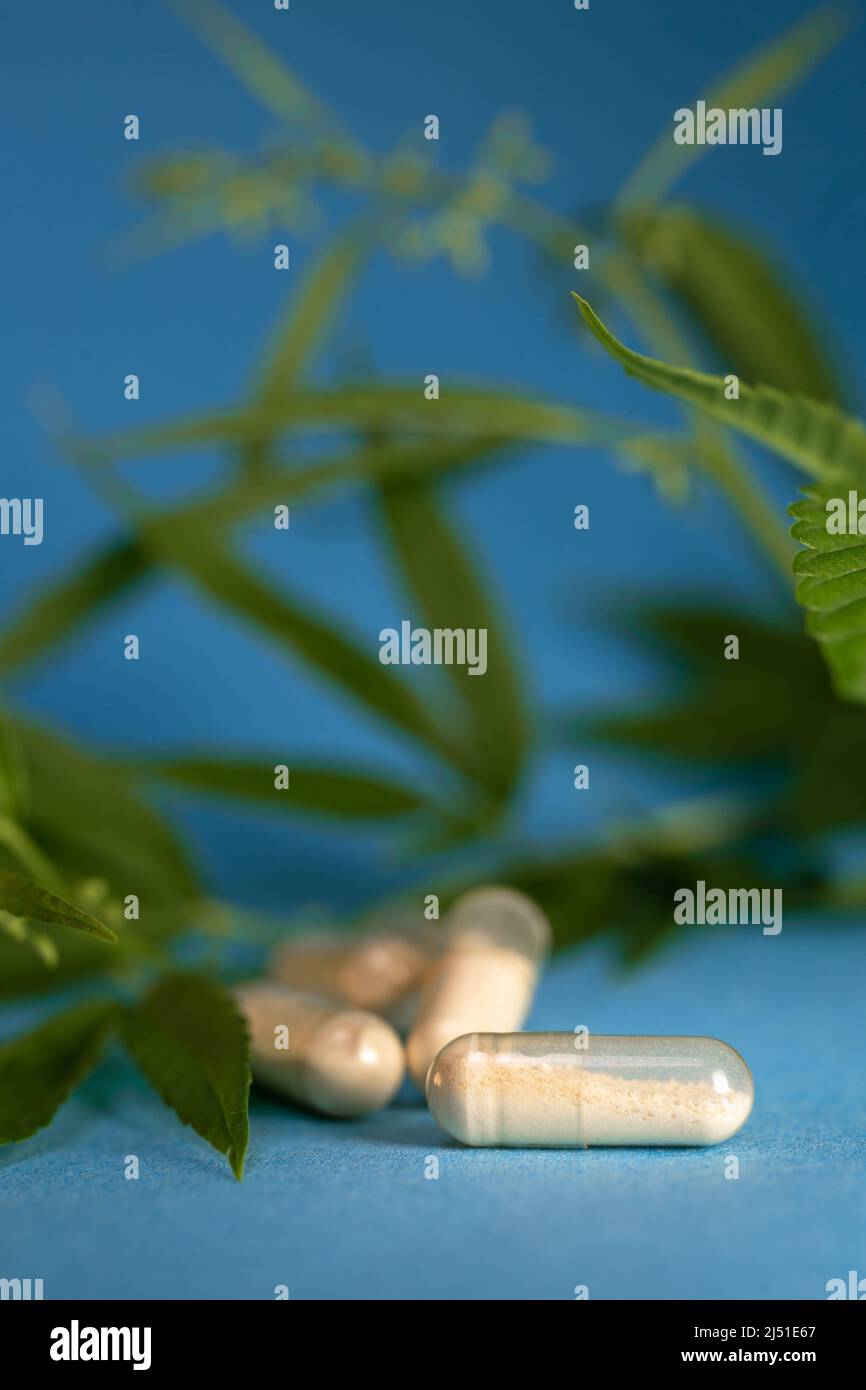 capsula medica sullo sfondo delle foglie di cannabis. Capsule con olio CBD. Foto Stock