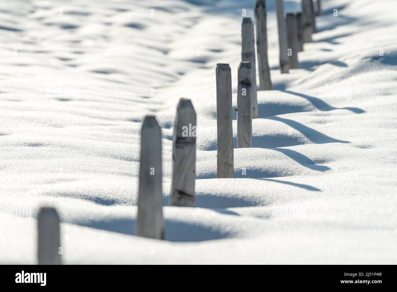Pali di recinzione in legno in un campo coperto di neve Foto Stock