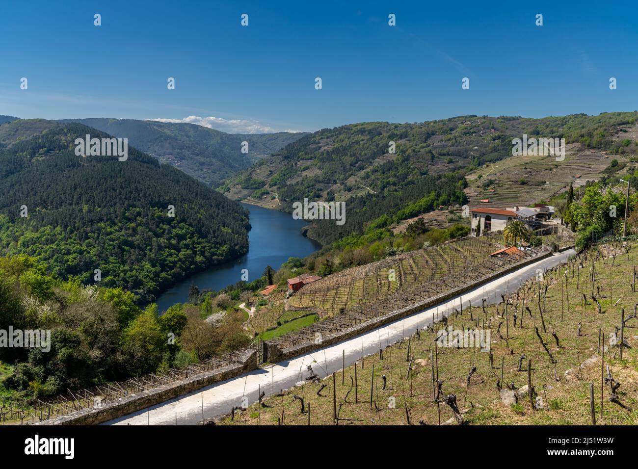 San Mamede, Spagna - 15 Aprile, 2022: Il fiume Minho in Galizia con i tipici vigneti terrazzati Foto Stock