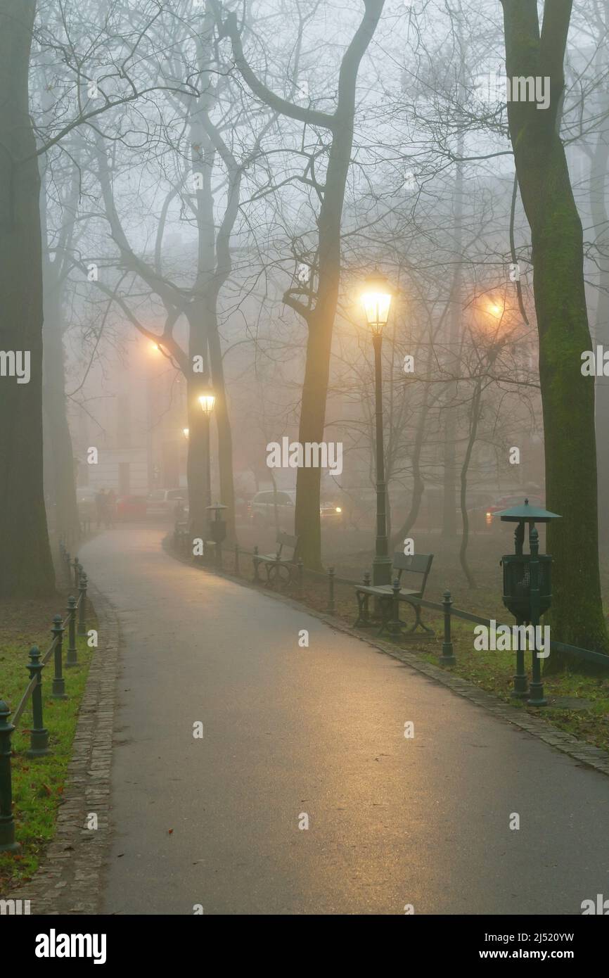 Serata Misty a Planty Park a Cracovia, Polonia. Foto Stock