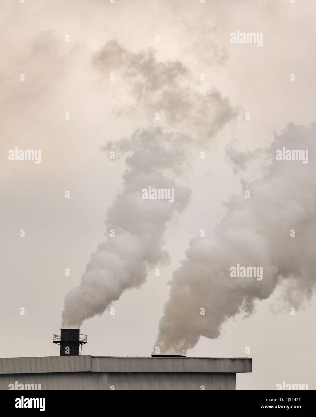 Emissione di fumo inquinamento all'aria da camino di impianti industriali. Questioni ambientali, riscaldamento globale, cambiamenti climatici, effetto serra Foto Stock
