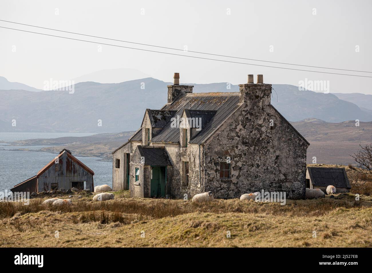 Casa abbandonata e non mantenuta ad Airidh a Bhruaich, Isola di Lewis, Scozia, ora lasciata alle pecore Foto Stock