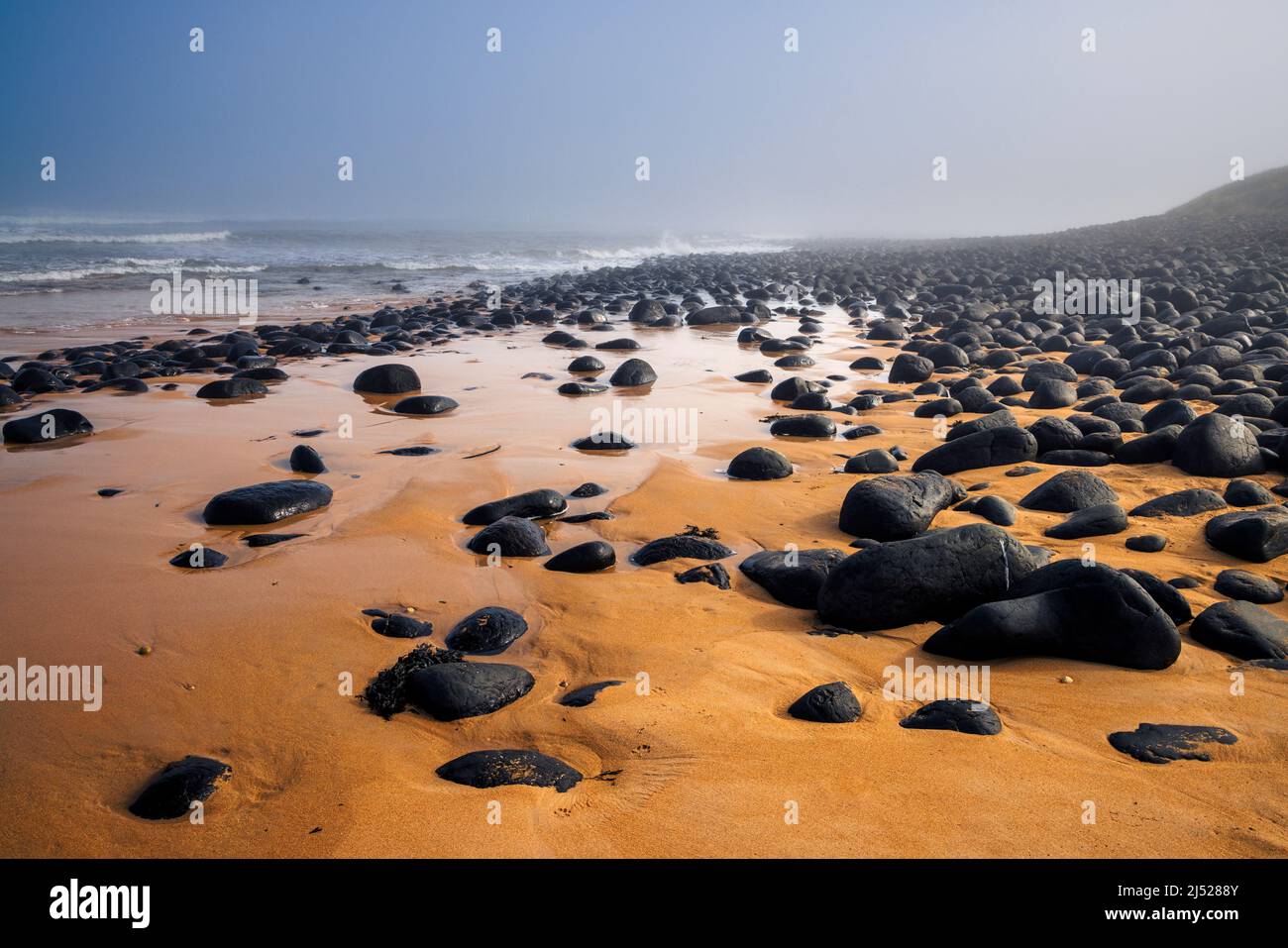 Rocce nere lisce su una nebbiosa Embleton Beach, Northumberland Coast Path, Inghilterra Foto Stock