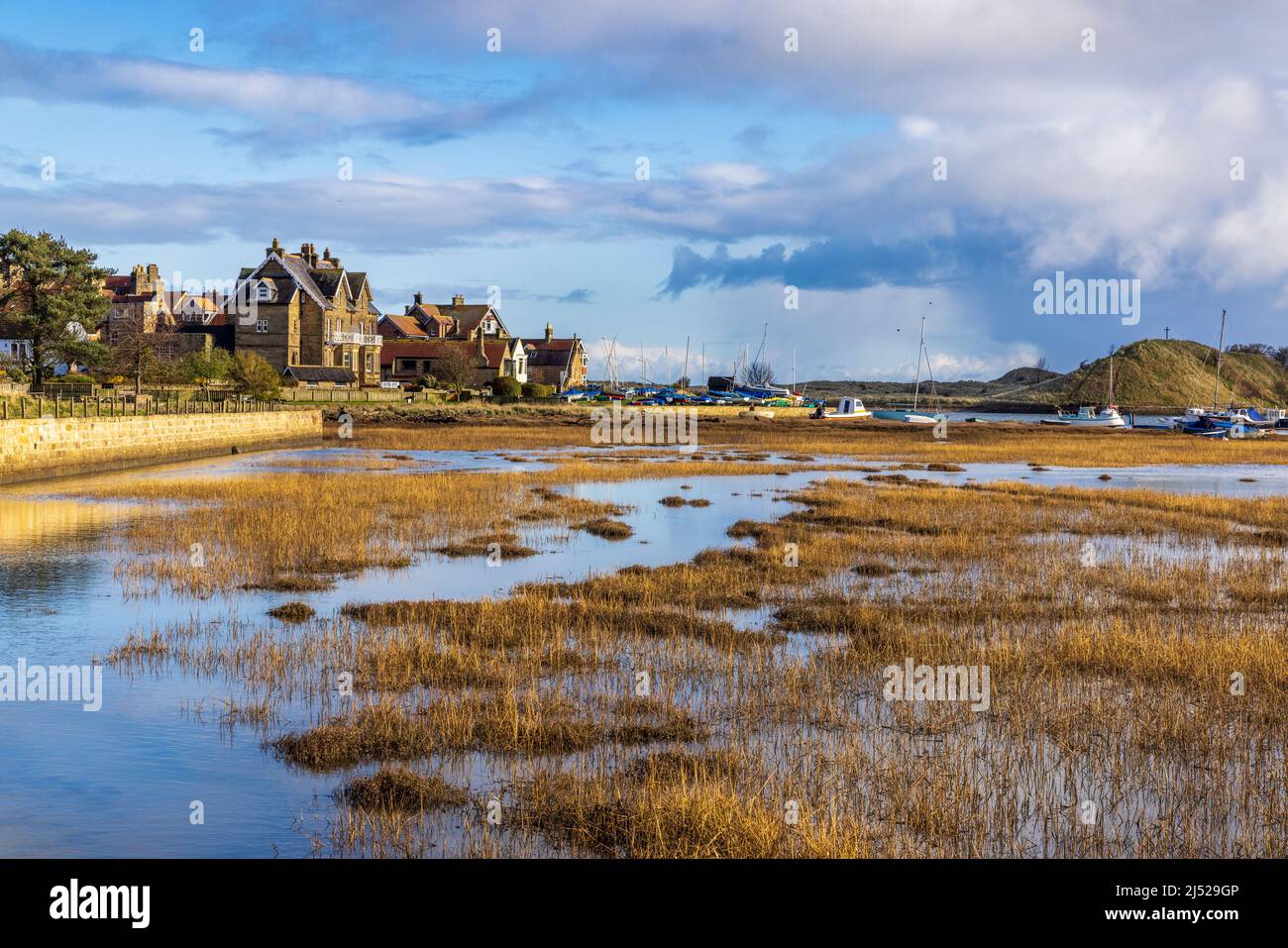 Estuario di Alnmouth e palude di sale dal Sentiero della costa di Northumberland in primavera, Inghilterra Foto Stock