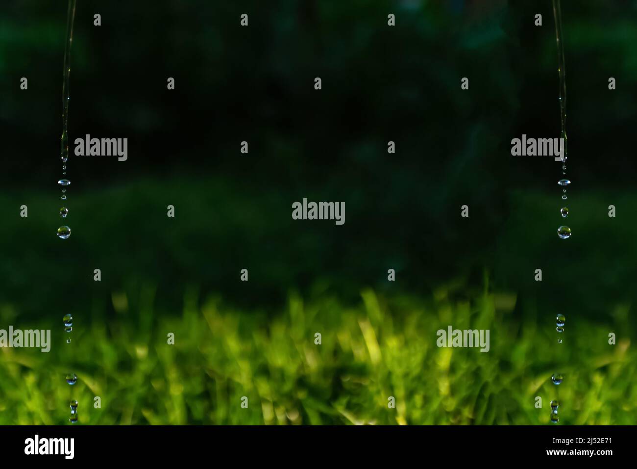 Defocalizzare gocce d'acqua e bolle spruzzando in brocca su sfondo verde natura. Estate fresca. Spazio di copia. Spruzzi d'acqua astratti. Spruzzi. Pioggia Foto Stock