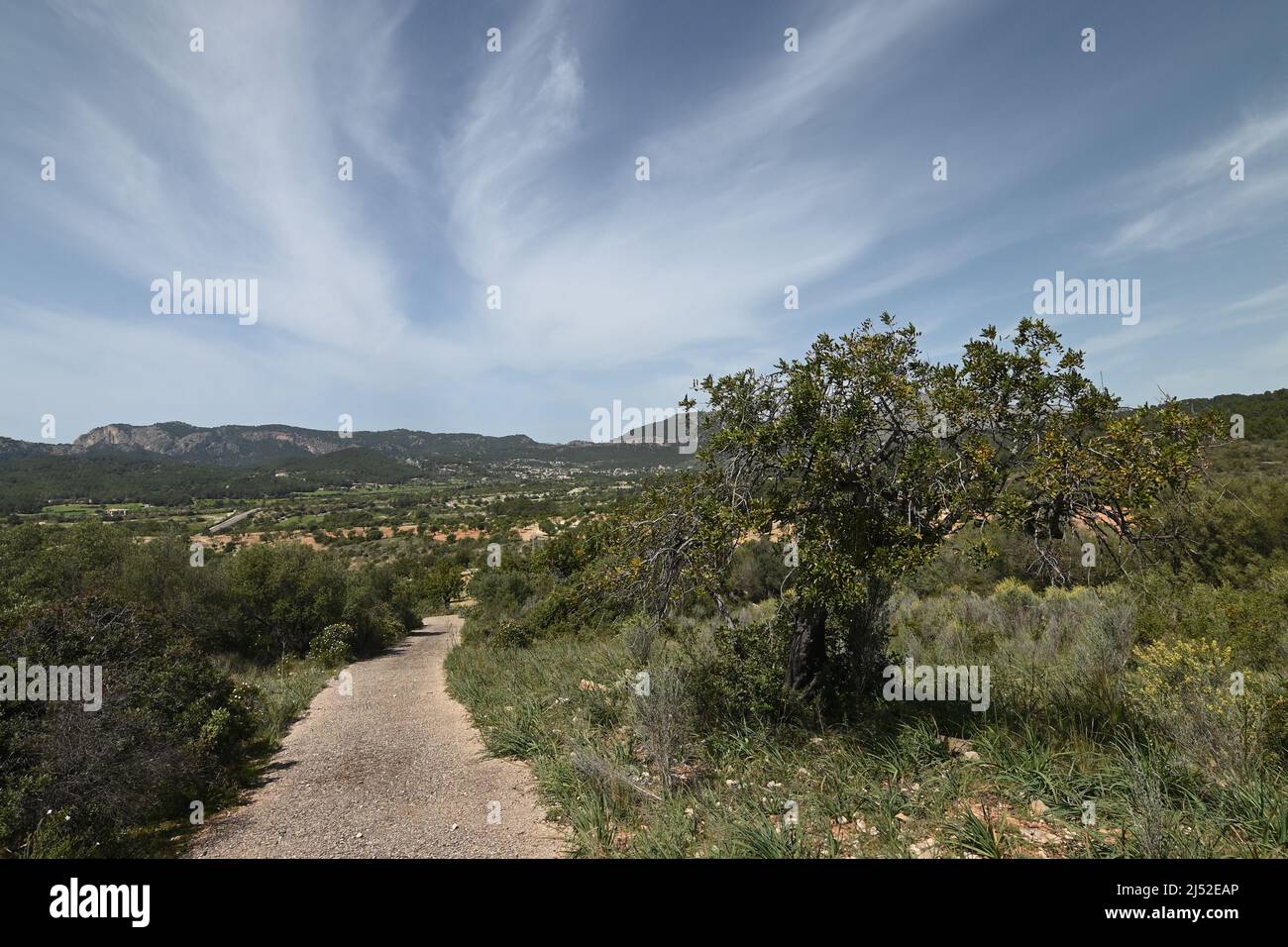 Sentiero escursionistico a Maiorca sotto un cielo blu Foto Stock