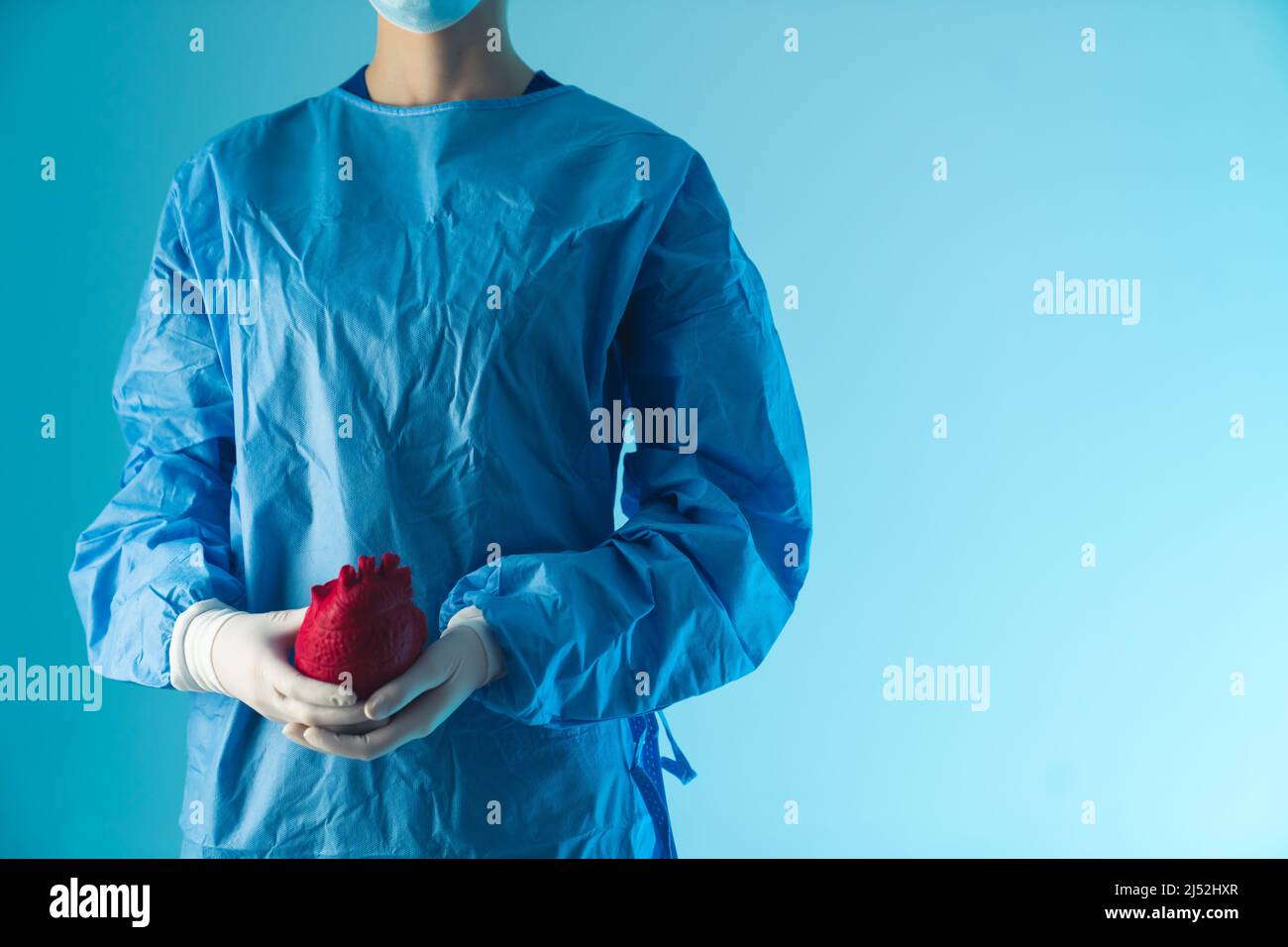 medico femminile in uniforme tenendo un rosso cuore artificiale medio colpo blu sfondo indoor concetto di assistenza sanitaria. Foto di alta qualità Foto Stock
