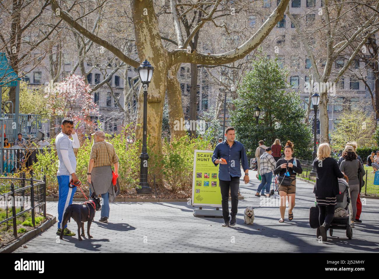 Famiglie e bambini giocano, camminano cani, a Madison Square Park, New York, NY, USA. Foto Stock