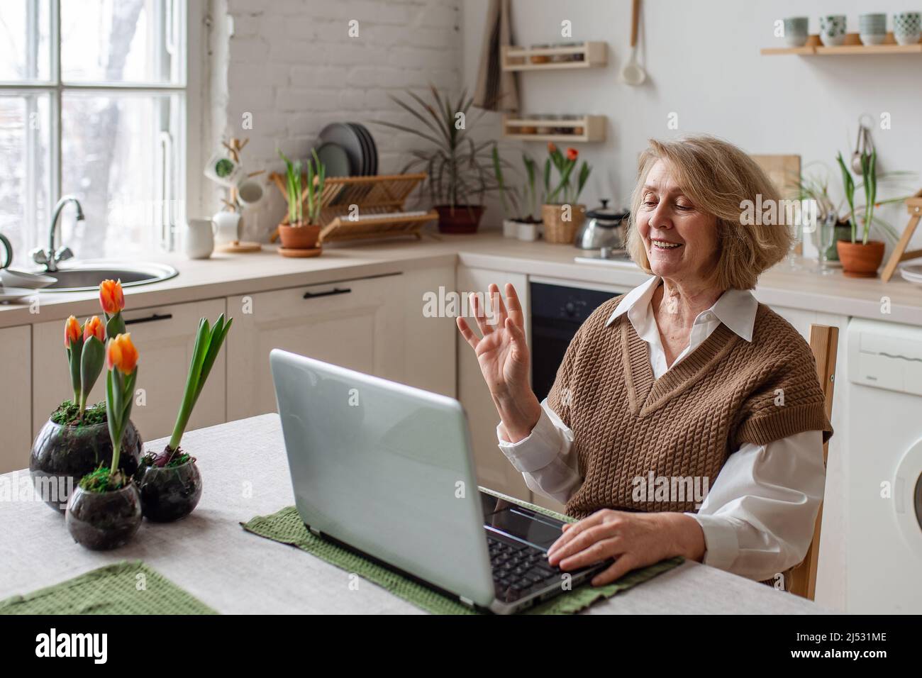 Donna anziana allegra che controlla le informazioni sul portatile in linea, videochiamata ai bambini o agli amici, occupato che lavora al calcolatore. Persone anziane e tecnologia Foto Stock