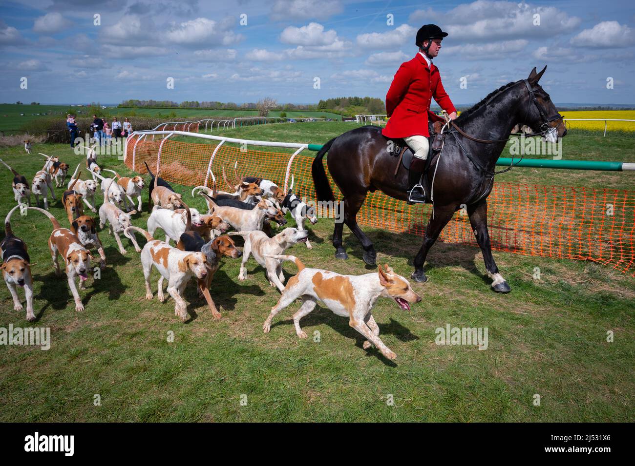 Cacciatori e hounds 19 aprile 2022 Foto Stock