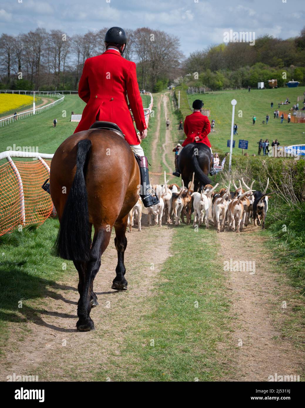 Cacciatori e hounds 19 aprile 2022 Foto Stock