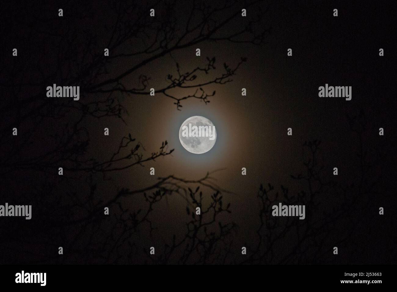 Vollmond aus einem Berliner Hinterhof - luna piena da un cortile di Berlino. Foto Stock