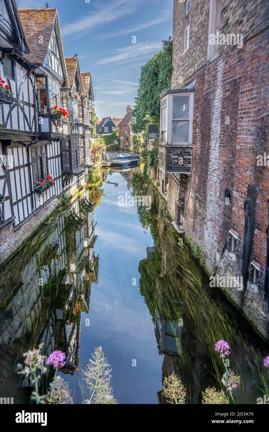 Il fiume Great Stour passando attraverso Canterbury, Inghilterra. Foto Stock