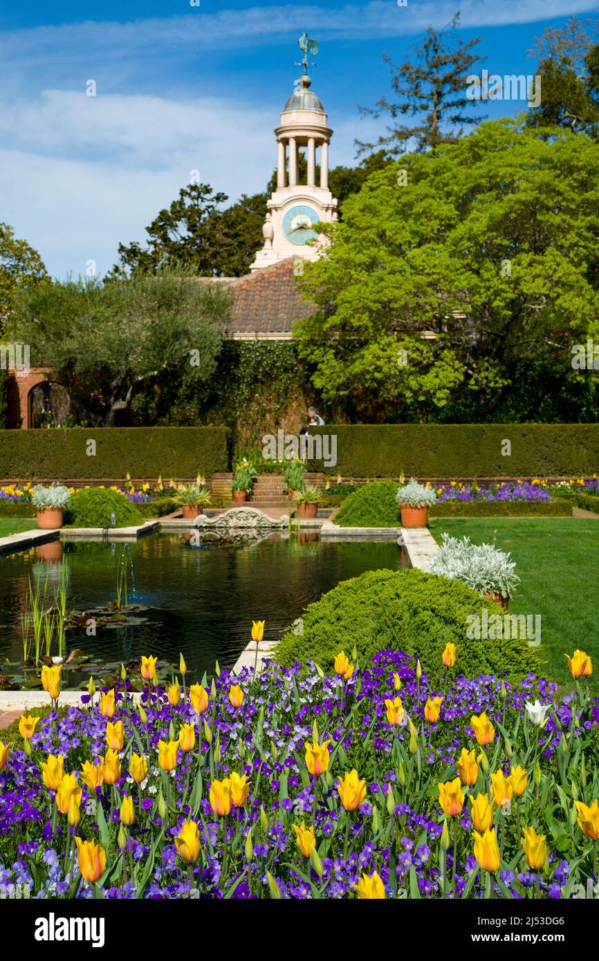 Tulipani che fiorisce in un giardino pittoresco Foto Stock