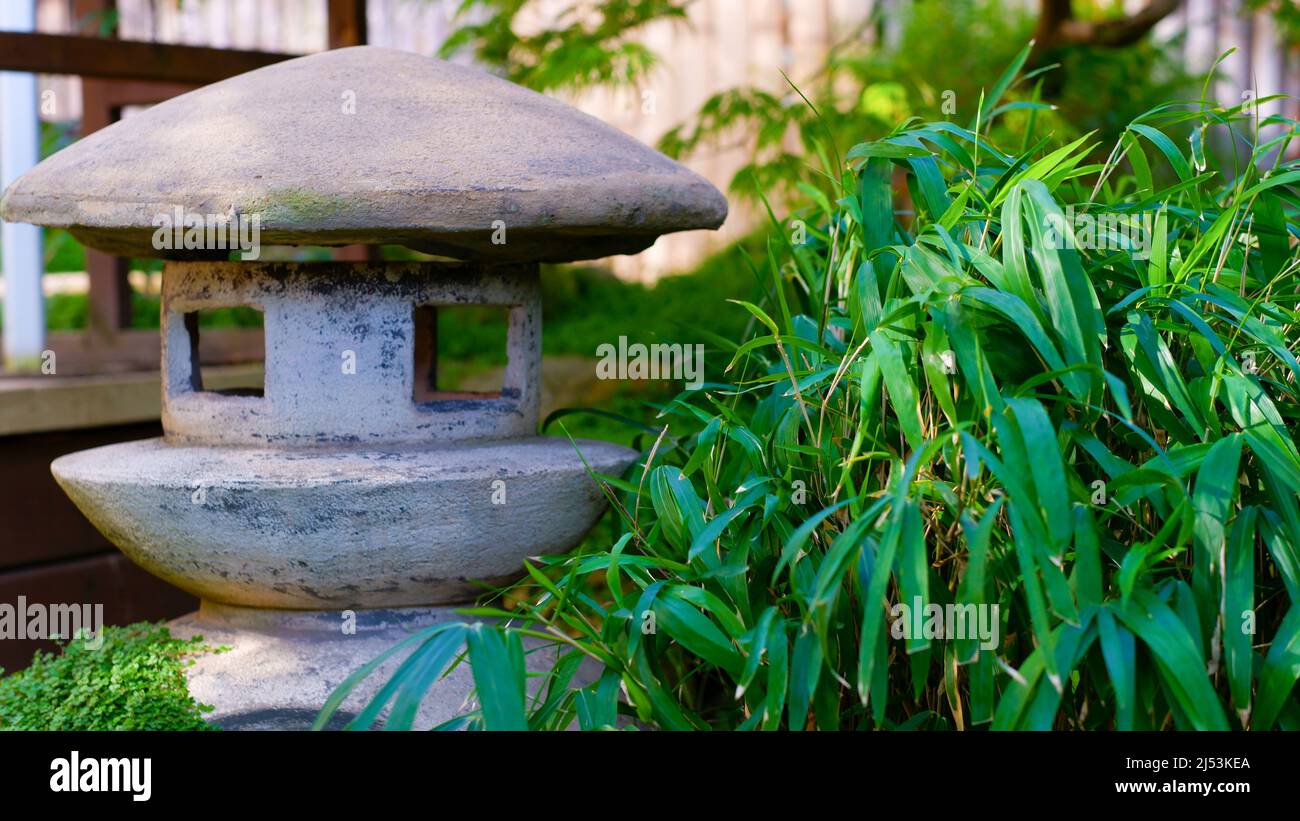 Giardino giapponese. Una lampada in pietra e una pianta con foglie verdi strette adornano un giardino giapponese. Armonia nella natura. Foto Stock