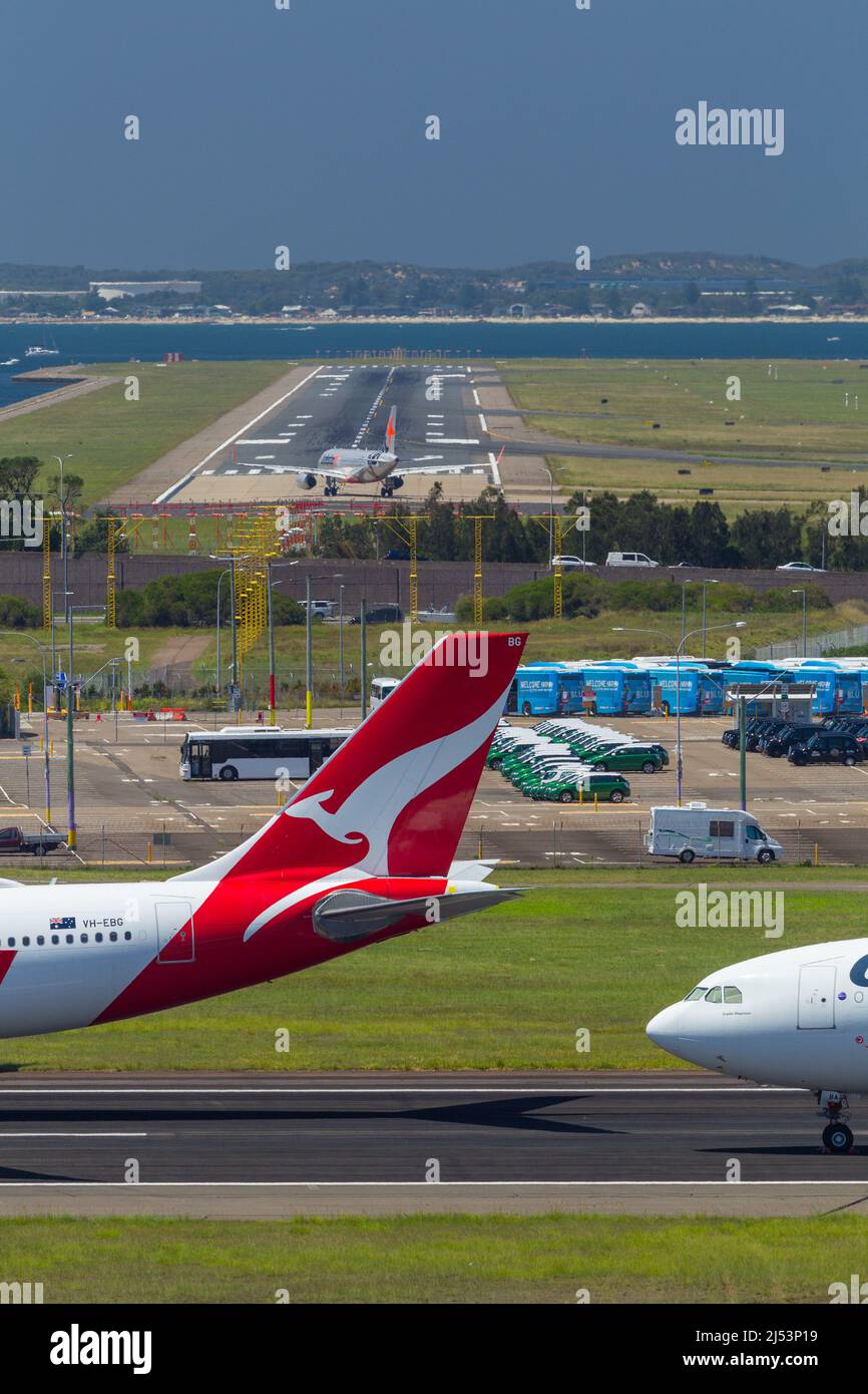 I jet Qantas inutilizzati si sono parcheggiati sull'asfalto dell'aeroporto di Sydney (Kingsford Smith) a Sydney, Australia, durante la pandemia COVID-19. Pista 16L/34R e Bot Foto Stock