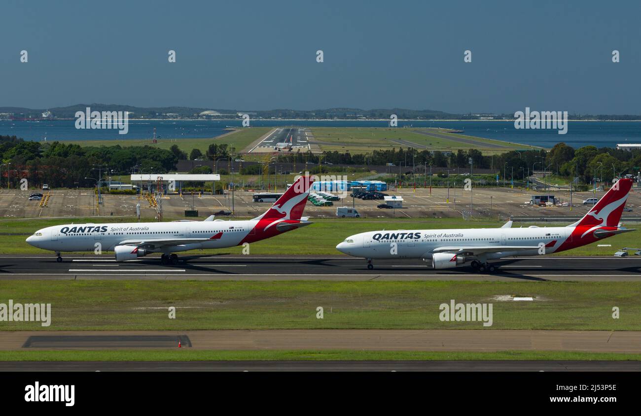 I jet Qantas inutilizzati si sono parcheggiati sull'asfalto dell'aeroporto di Sydney (Kingsford Smith) a Sydney, Australia, durante la pandemia COVID-19. Pista 16L/34R e Bot Foto Stock