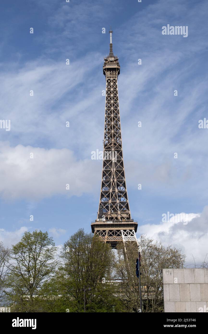 Parigi, Francia, Europa: Un albero con vista dal basso della Torre Eiffel, torre di metallo completata nel 1889 per l'esposizione universale Foto Stock