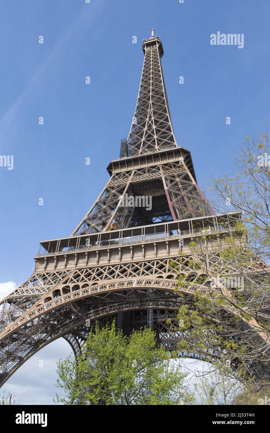 Parigi, Francia, Europa: Un albero con vista dal basso della Torre Eiffel, torre di metallo completata nel 1889 per l'esposizione universale Foto Stock