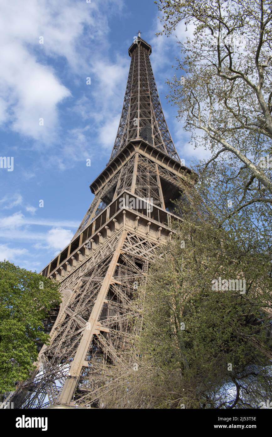 Parigi, Francia, Europa: Un albero con vista dal basso della Torre Eiffel, torre di metallo completata nel 1889 per l'esposizione universale Foto Stock