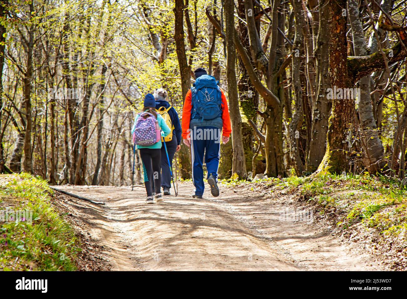 Giovane coppia con una figlia a piedi da sentiero, sfocato dal movimento Foto Stock