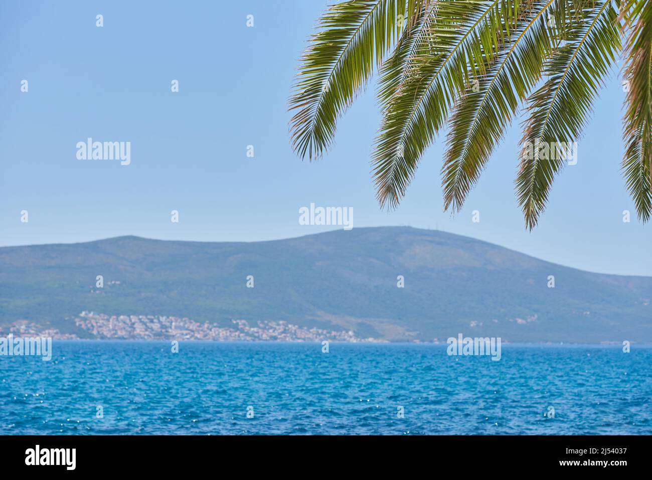 Palm ramo su sfondo blu cielo e mare, modello con spazio di copia Foto Stock