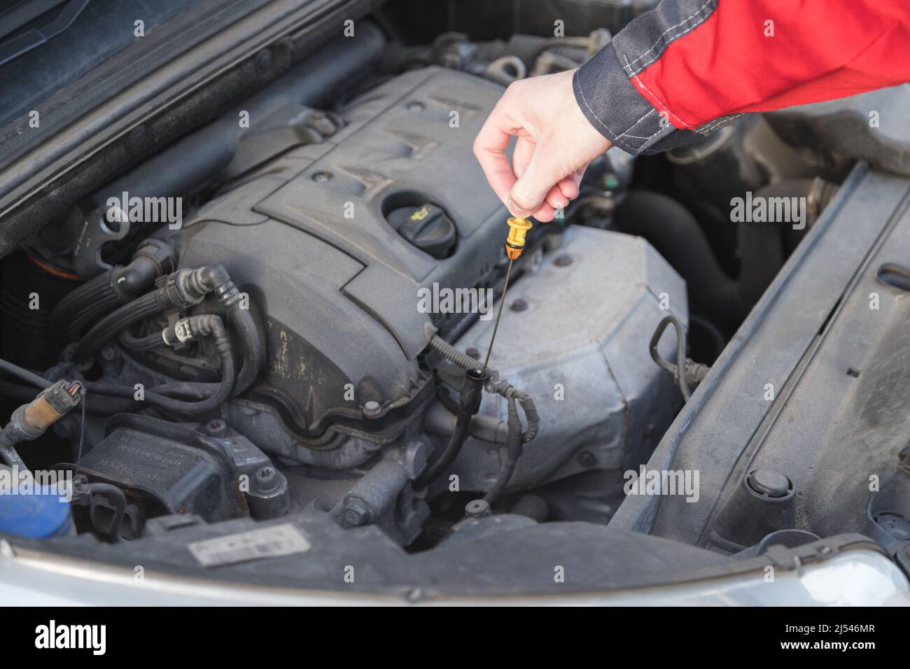 L'addetto alla manutenzione preleva un'astina di livello per controllare il livello dell'olio nel motore dell'auto. Foto Stock