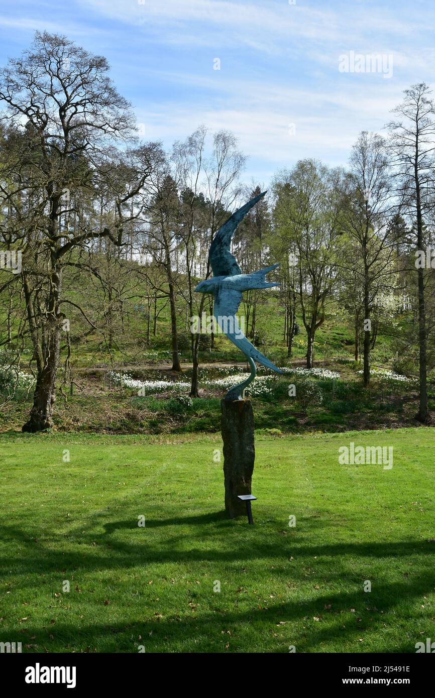 Himalayan Garden and Sculpture Park, The Swift, Grewelthorpe, Ripon, North Yorkshire Foto Stock