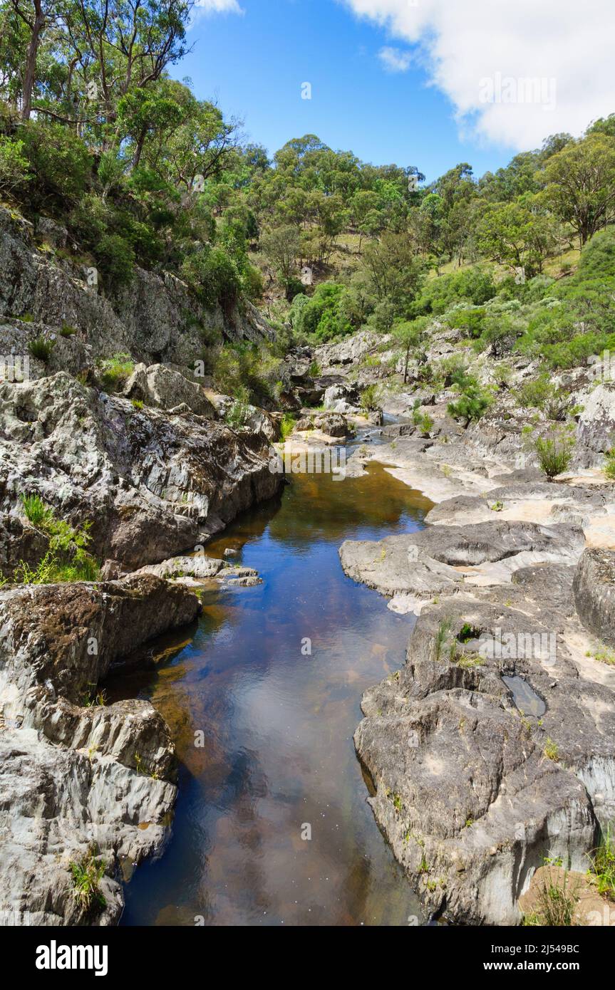 Pozzanghere d'acqua nel letto secco del fiume Chandler nel Parco Nazionale dei fiumi Selvaggi di Oxley - Hillgrove, NSW, Australia Foto Stock