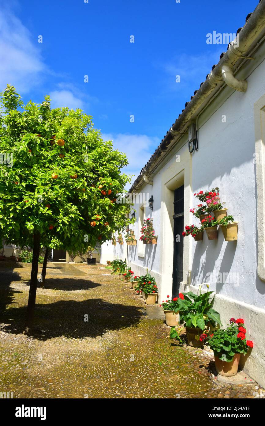 Jerez de la Frontera, Andalusia, Spagna Foto Stock