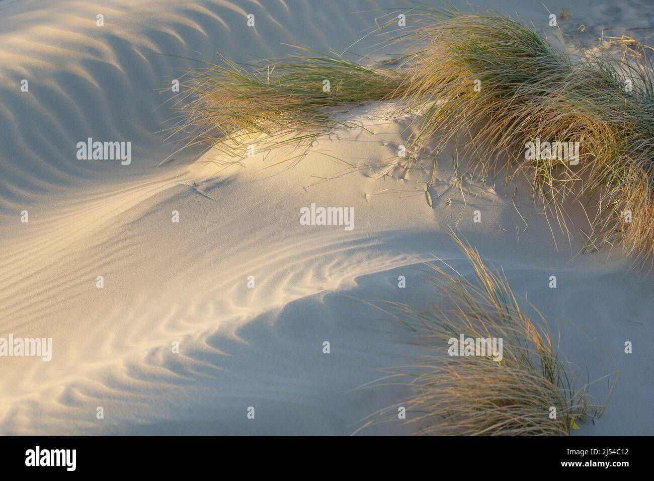 Tempesta sulla spiaggia sabbiosa, Hurricane Eunice, Zeynep, 02/19/2022, Belgio, Fiandre Occidentali, Nieuwpoort Foto Stock