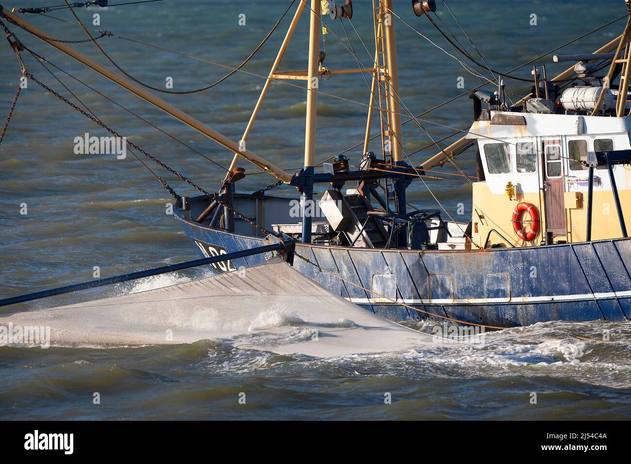 Barca per gamberi sul Mare del Nord, rete da traino sul lato, Belgio, Fiandre Occidentali, Nieuwpoort Foto Stock