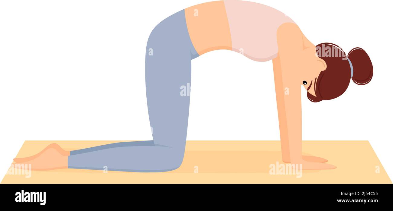 Donna in piedi in posizione di mucca. Ragazza stretching muscolo posteriore, facendo pilates e yoga esercizi sul tappeto. Stile di vita sano. Allenamento, illustrazione vettoriale Illustrazione Vettoriale