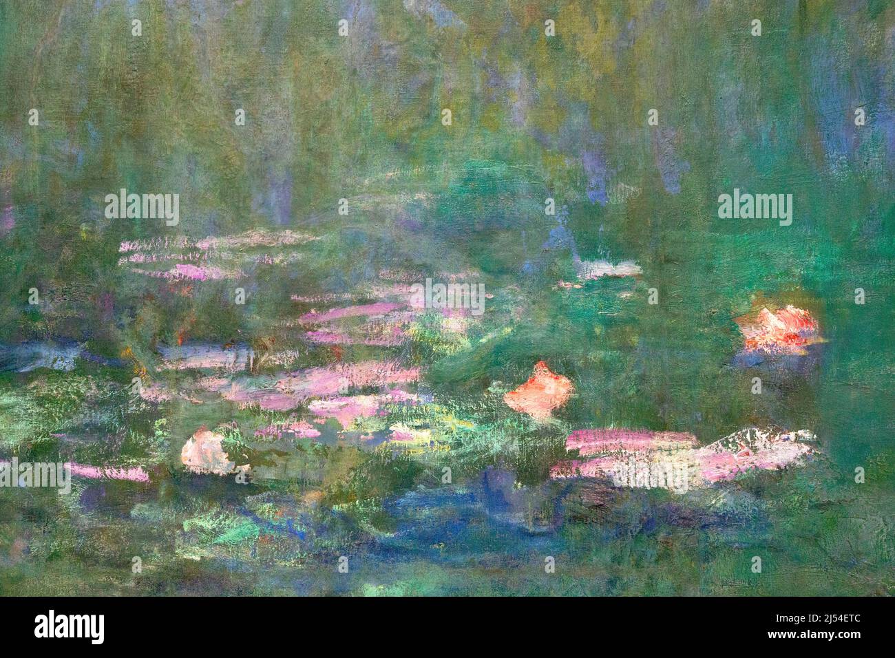 Nympheas, Water Lilies, Claude Monet, 1918-1926, Musee de l'Orangerie, Parigi, Francia, Europa Foto Stock