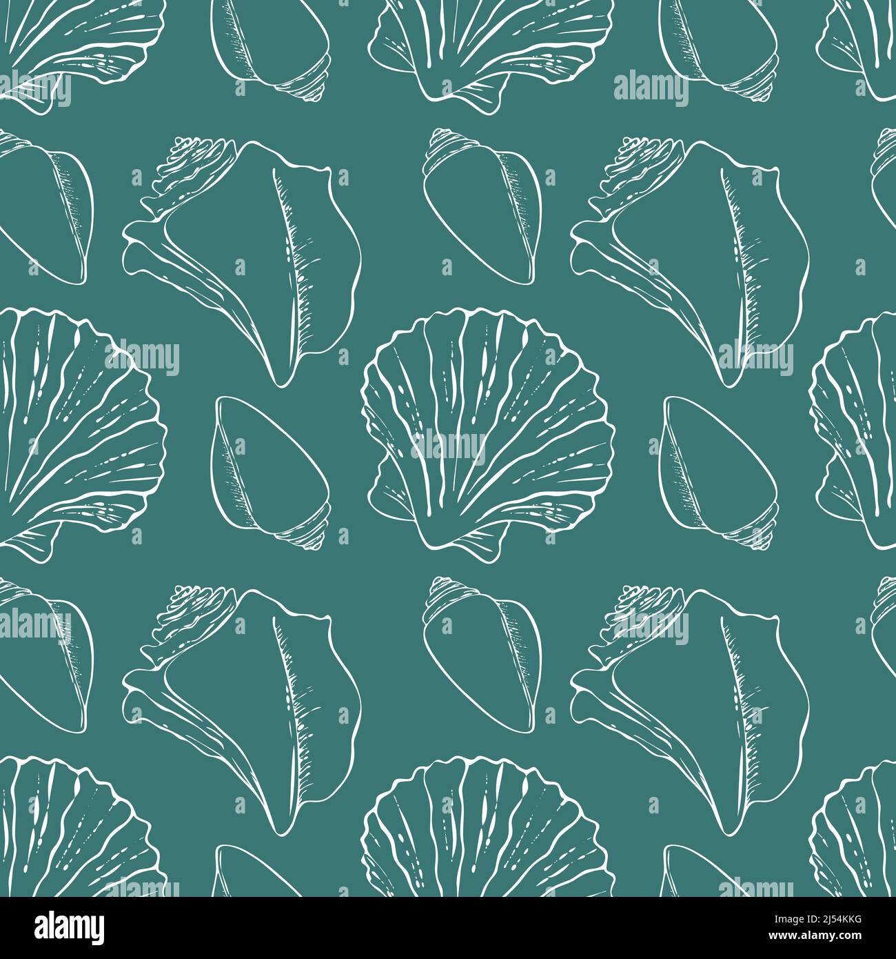 Sfondo blu conchiglie bianco mare. Illustrazione vettoriale Illustrazione Vettoriale