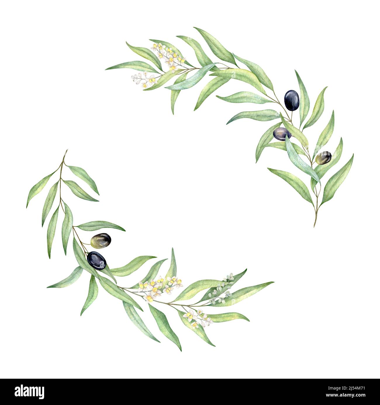 Acquerello verde corona di olive, invito al matrimonio, logo design Foto Stock