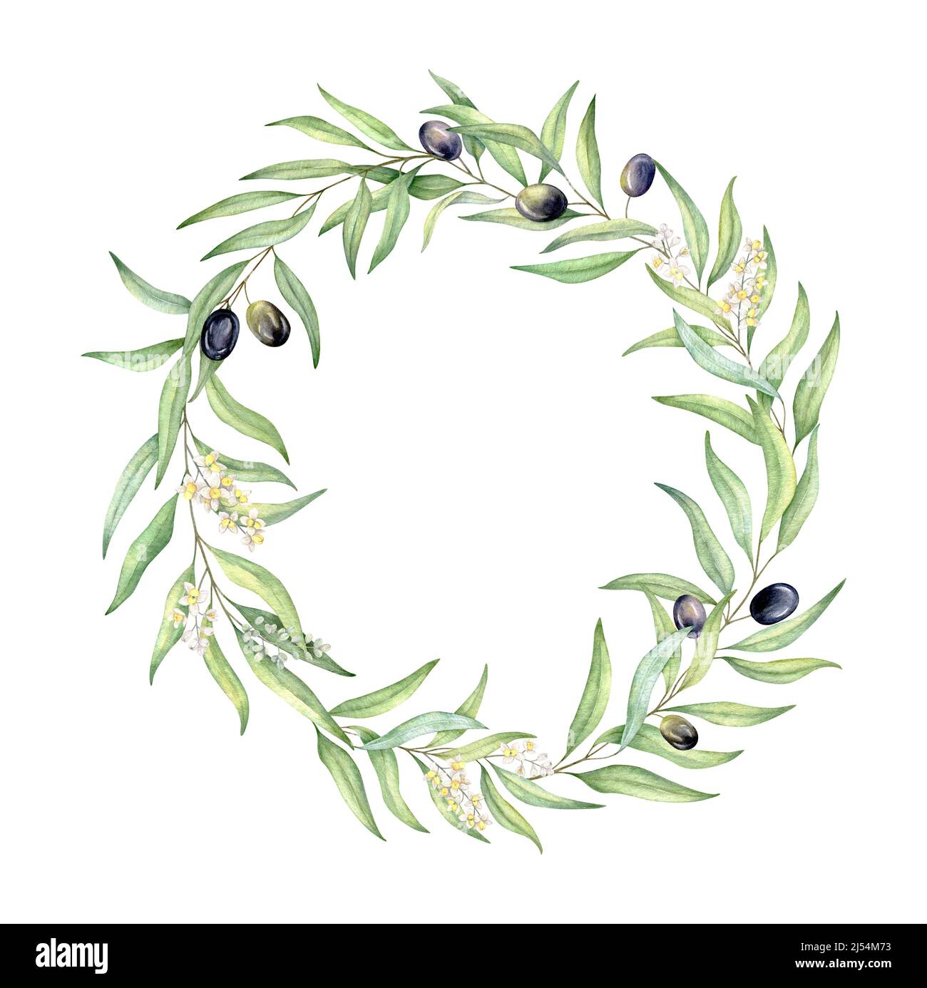 Acquerello verde corona di olive, invito al matrimonio, logo design Foto Stock
