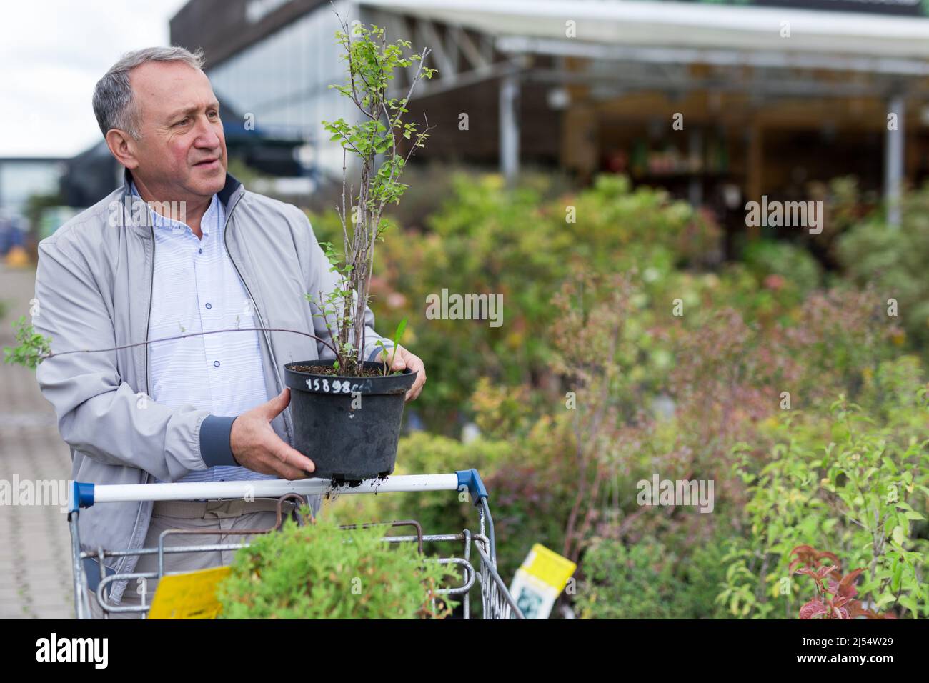 Shopping uomo di mezza età nel centro giardino Foto Stock