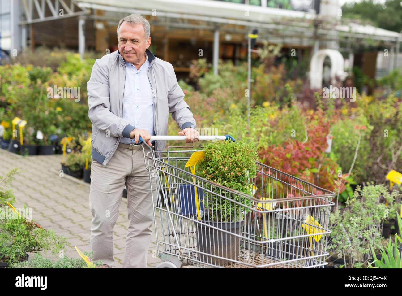 Shopping uomo di mezza età nel centro giardino Foto Stock