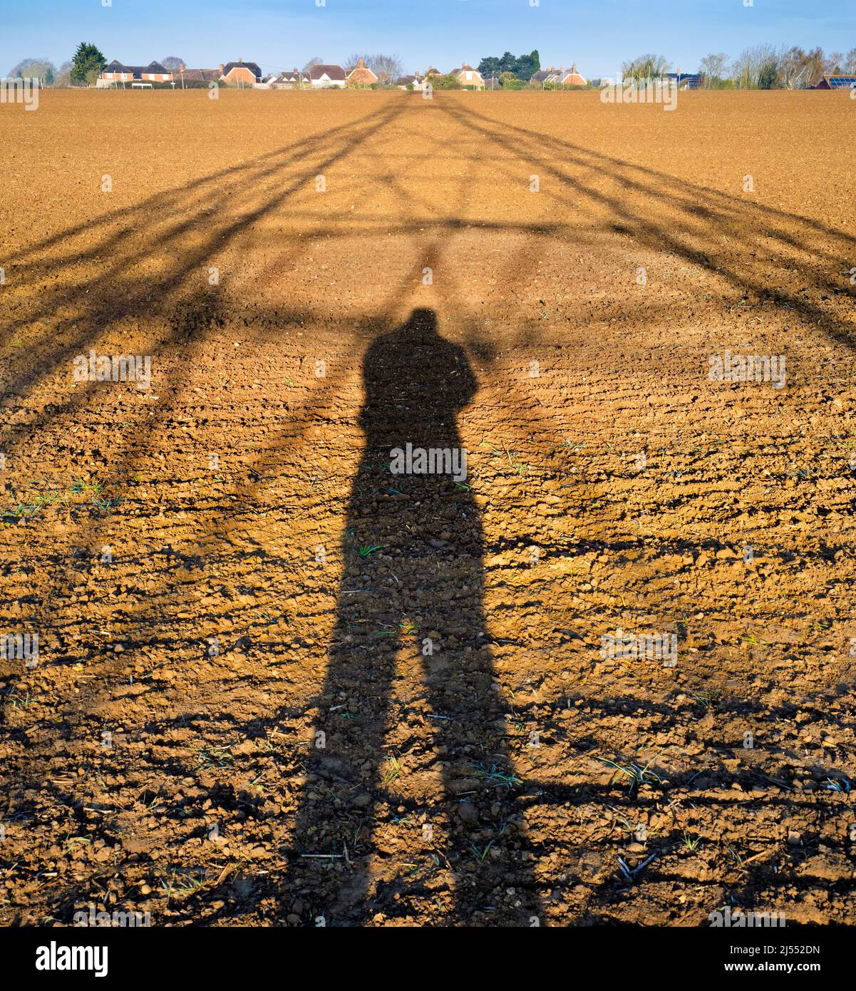 Amo i piloni elettrici; trovo le loro forme astratte e gaunt infinitamente affascinanti. Qui vediamo ombre gettate da un grande pilone in un campo in Ra rurale Foto Stock