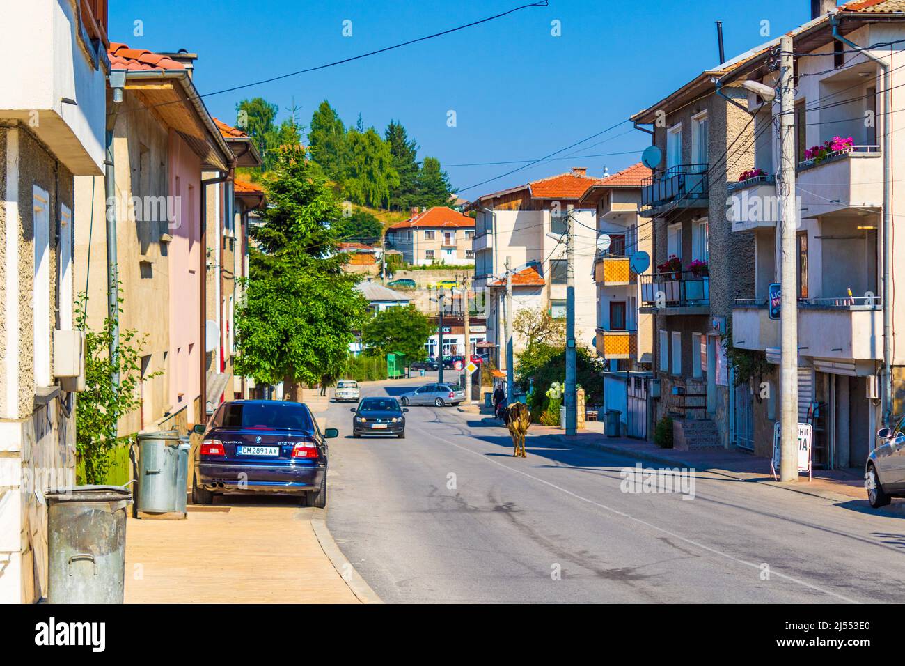 Vista di Dospat - una città nel sud della Bulgaria, parte della provincia di Smolyan, situato nei monti Rhodope, vicino alla diga di Dospat. Foto Stock