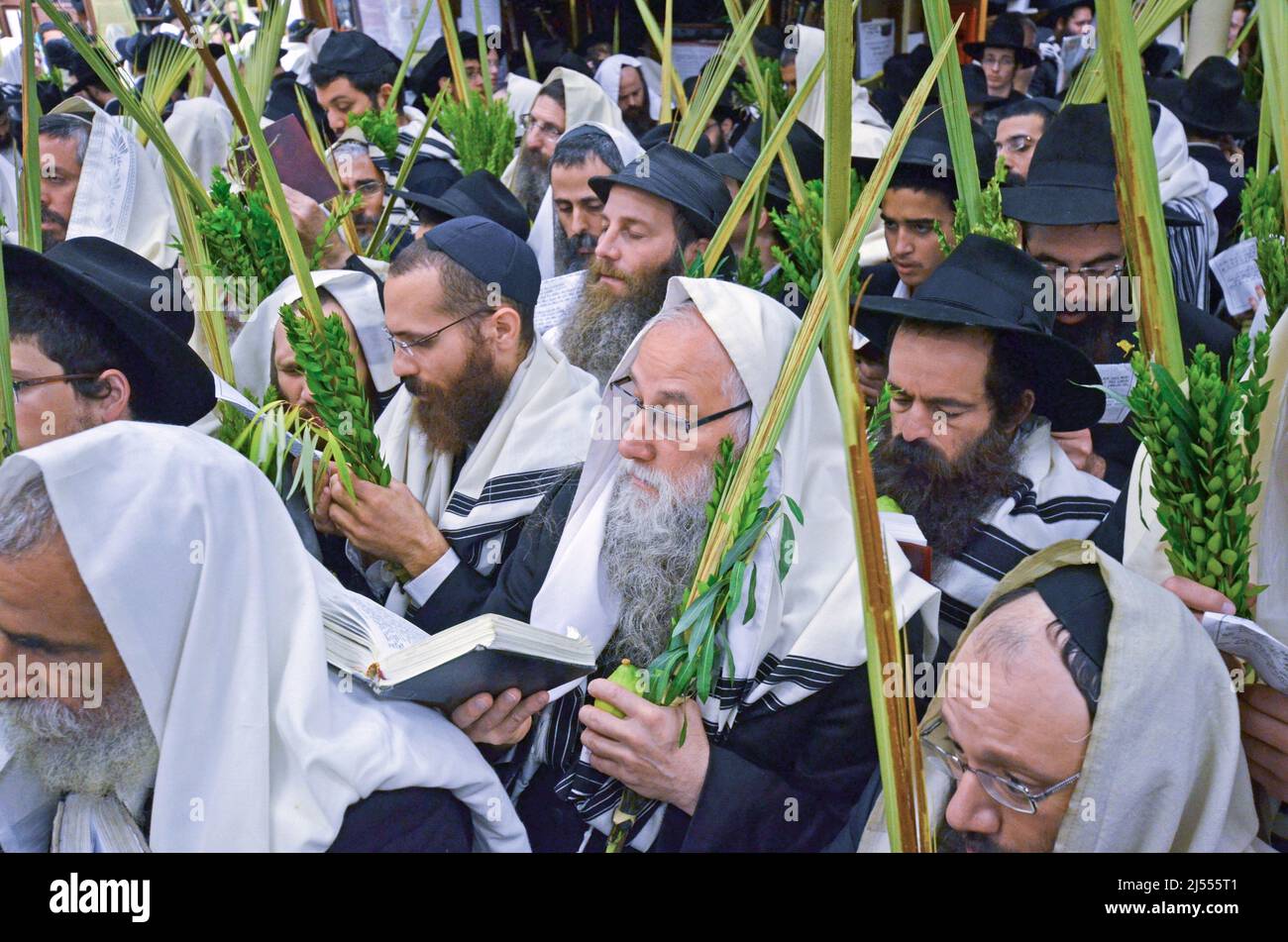 Gli ebrei ortodossi celebrano Sukkos. Visto qui che detiene la "4 specie". A Crown Heights, Brooklyn presso la sede centrale di Lubavitch. Foto Stock