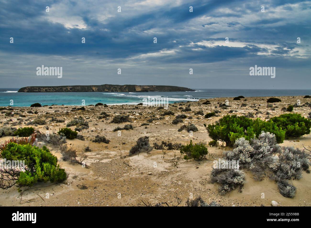 La costa desolata, con vegetazione sparsa, di evitare Bay, con una vista di evitare Bay Island, coffin Bay National Park, Eyre Peninsula, South Australia Foto Stock