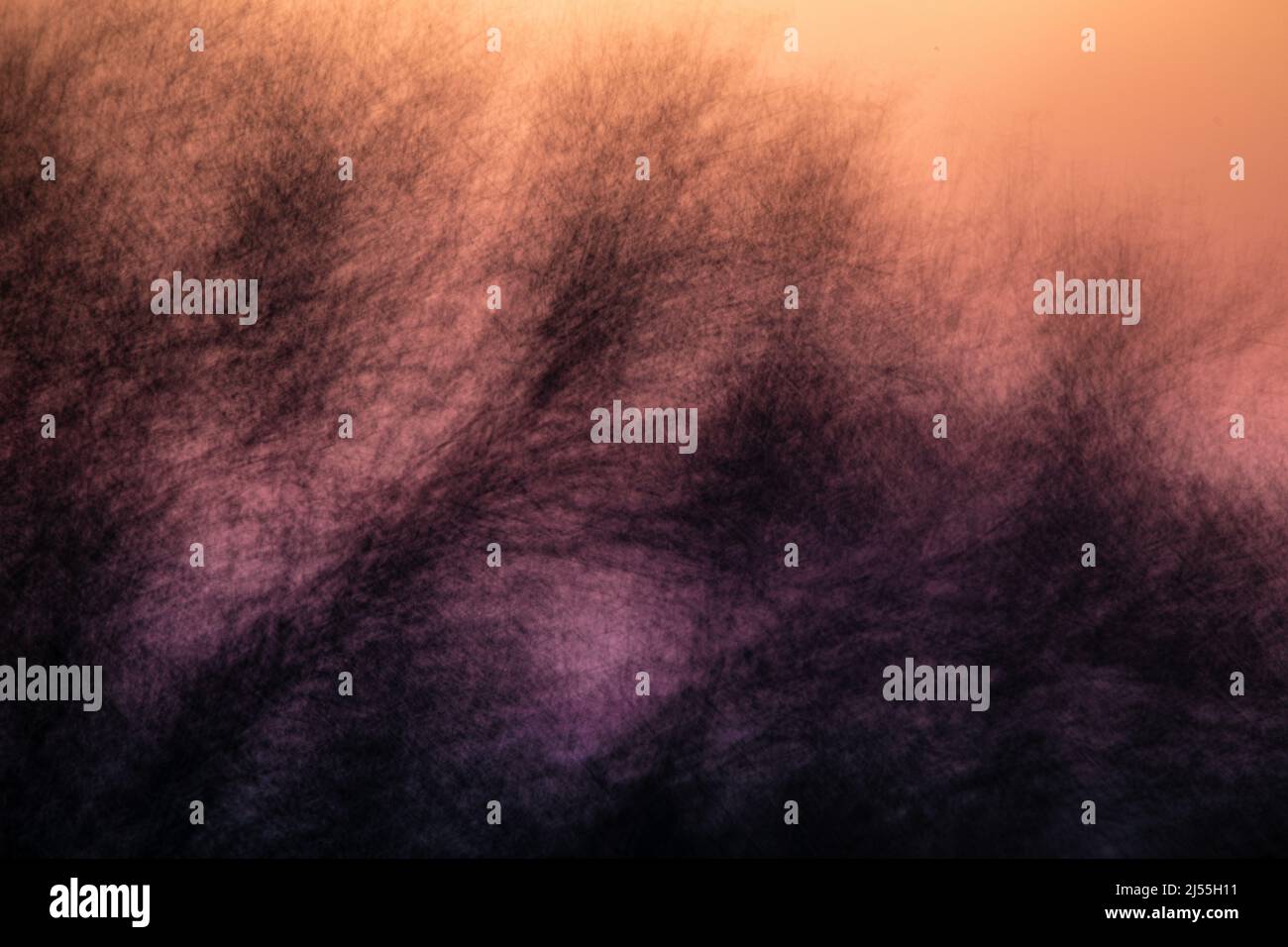 Macabra immagine astratta di rami d'inverno contro un cielo oscuro Foto Stock