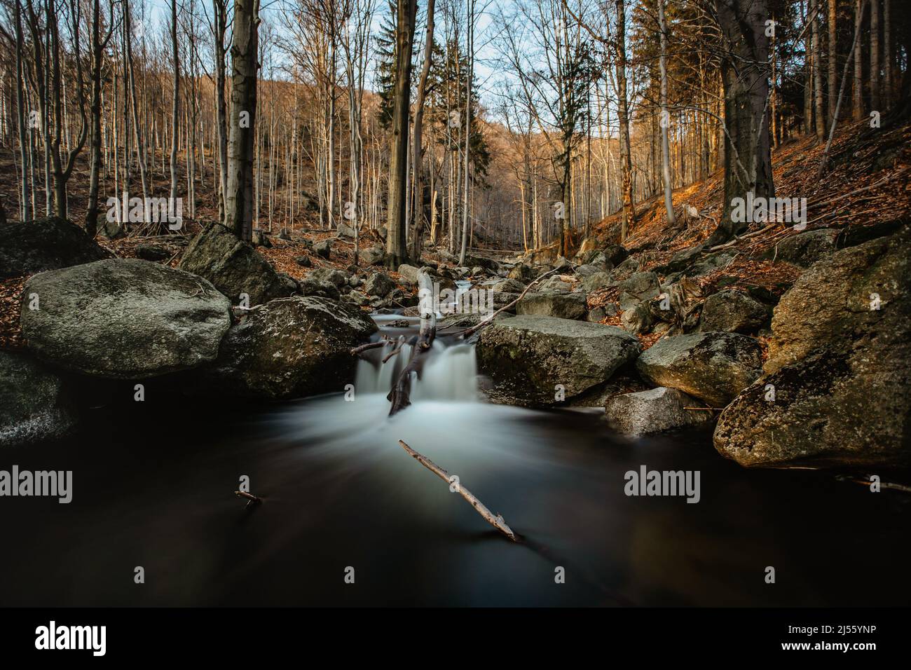 Riserva naturale ceca chiamata buciny di Jizerskohorske, Beechwood della montagna di Jizera, sull'Unesco List.Unique natura con alberi di faggio, cascate, ruscelli selvaggi Foto Stock