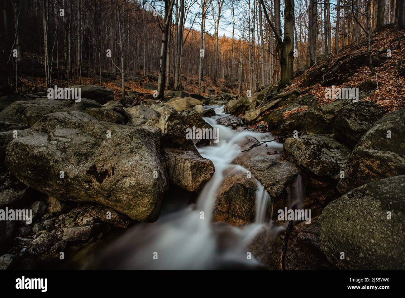 Riserva naturale ceca chiamata buciny di Jizerskohorske, Beechwood della montagna di Jizera, sull'Unesco List.Unique natura con alberi di faggio, cascate, ruscelli selvaggi Foto Stock