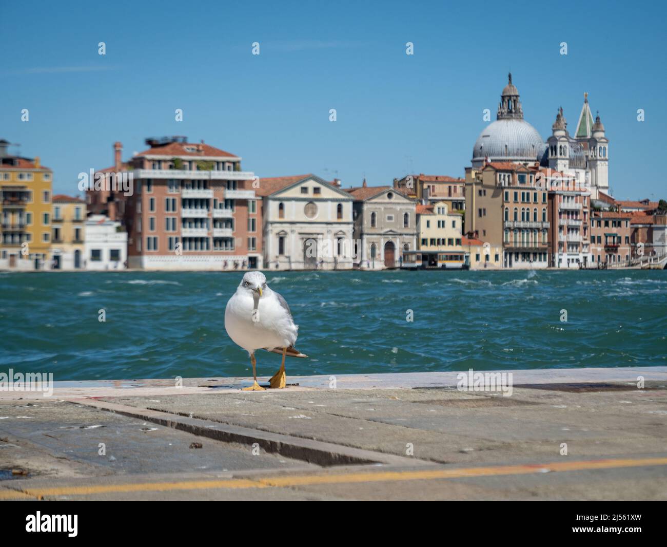 venezia in veneto 2021 Foto Stock