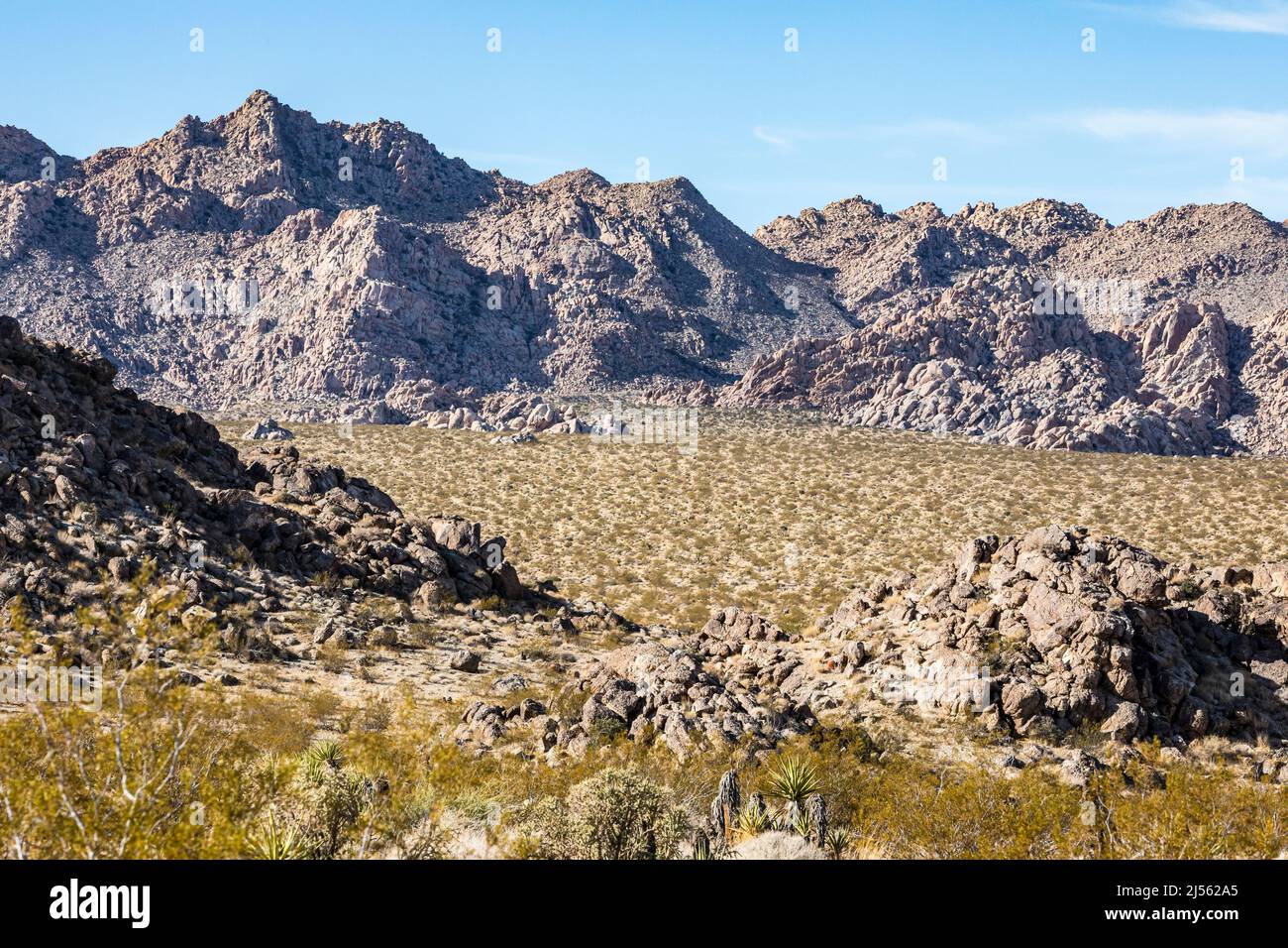 Indian Cove, Joshua Tree National Park, California, USA. Foto Stock
