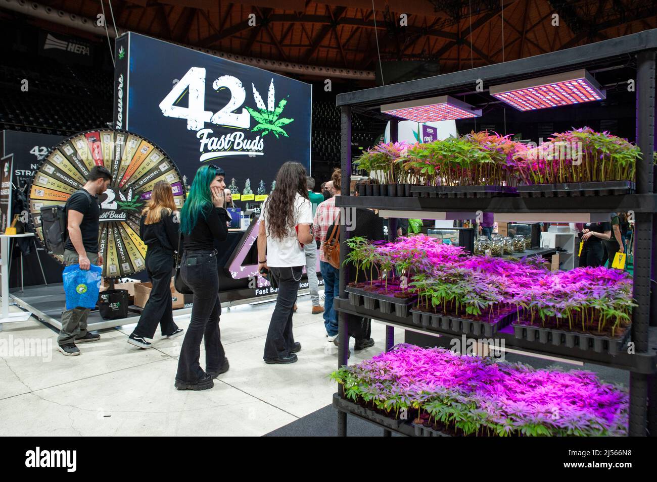 Visitatori alla fiera "Indicasativa 2022" dedicata al mondo della canapa. Piante in vaso di cannabis in primo piano. Foto Stock